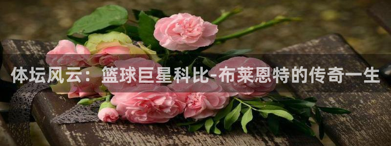 球王会体育