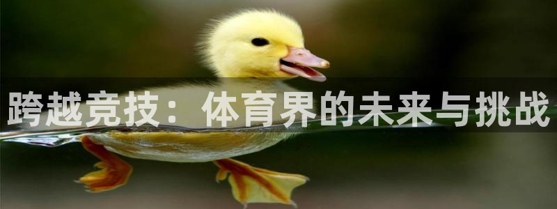 球王会体育