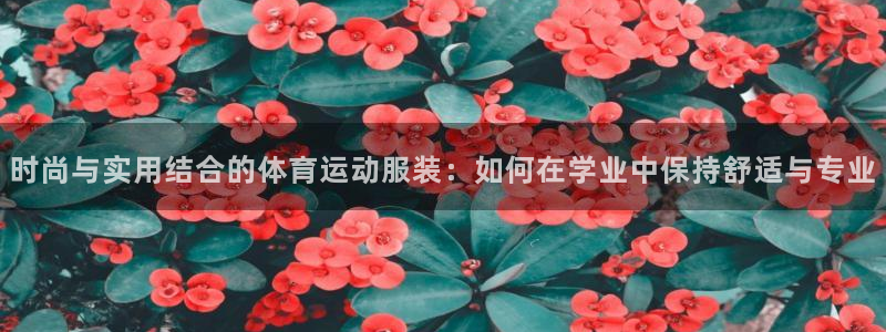 球王会体育