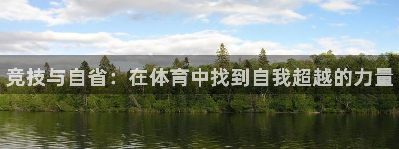 球王会体育
