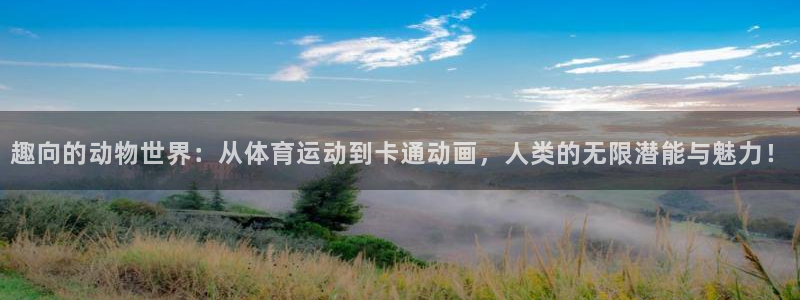 球王会体育