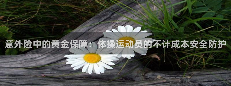 球王会体育：意外险中的黄金保障：体操运动员的不计成本安全防护