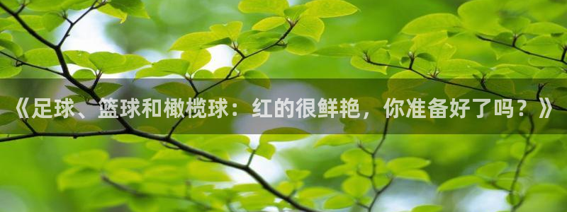 球王会体育：《足球、篮球和橄榄球：红的很鲜艳，你准备好了吗？》