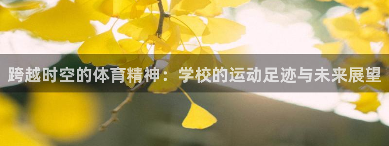球王会体育：跨越时空的体育精神：学校的运动足迹与未来展望