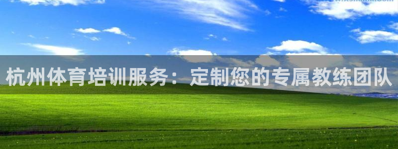 球王会体育：杭州体育培训服务：定制您的专属教练团队
